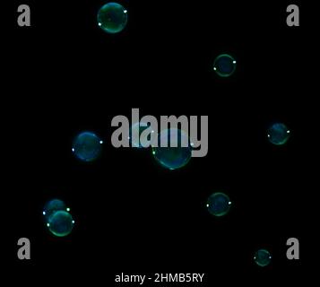 Many beautiful soap bubbles on dark background Stock Photo