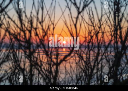 Sunset over a bay of sea water at low tide seen through branches of winter trees. Stock Photo
