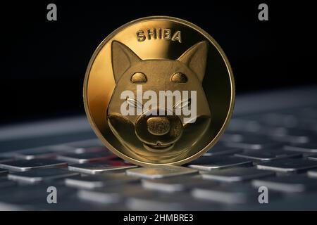 Shiba Inu SHIB Cryptocurrency Physical Coin Placed on the Keyboard in the dark background Stock Photo