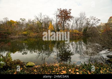 Hallett Nature Sanctuary, a four-acre woodland located on a rocky hill overlooking the Pond in the southeast corner of Central Park. Stock Photo