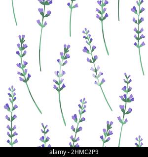 Seamless pattern with lavender floral elements for design and decor. Stock Vector