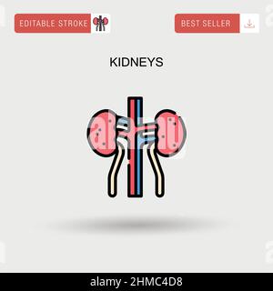 Kidneys Simple vector icon. Stock Vector