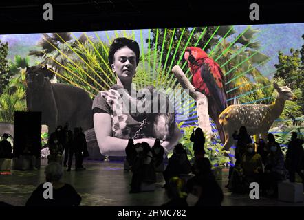 The immersive biography of Frida Kahlo the life of a myth at the IDEAL digital arts center in Barcelona, Catalonia, Spain Stock Photo