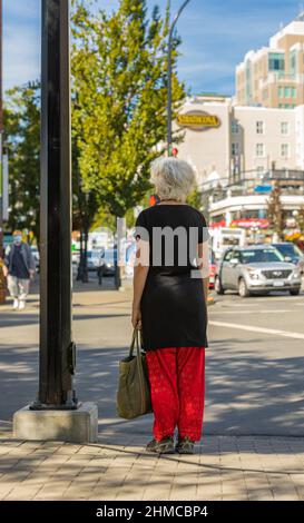 Woman standing at the zebra crossing and traffic light. Elegant woman stand waiting on footpath sidewalk crossing the street. Travel photo, selective Stock Photo