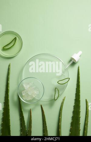 aloe, aloe vera, background, biochemistry, biology, bottle, bottles, care, chemistry, concept, container, cosmetic, cosmetic jar, dropper, extract, fr Stock Photo