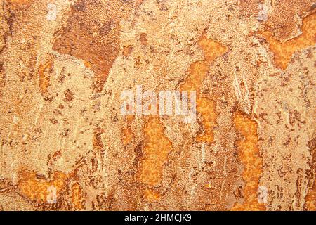 Abstract background texture of cork material in beige shades. Stock Photo
