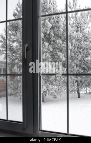 Beautiful view on two spruce trees in snow, wooden cottage and ground covered with snow through big closed house window with white frames. Copy space Stock Photo