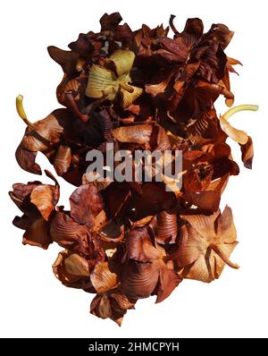 Pile of small dried flowers isolated on white Stock Photo