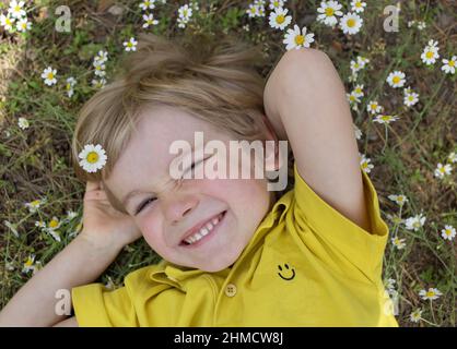Portrait of cute smiling boy lying on the grass among the chamomile field. Summer mood, carefree joyful childhood, joy, relaxation, pampering, positiv Stock Photo