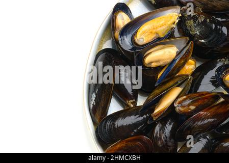 steamed mussels entree. Cooked mussels on white plate on white background, seafood Stock Photo