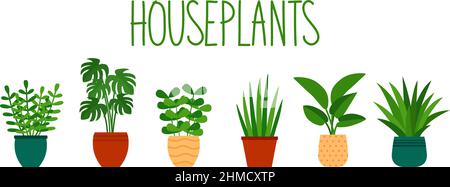 Houseplants in pots in flat style and hand lettering, vector illustration Stock Vector