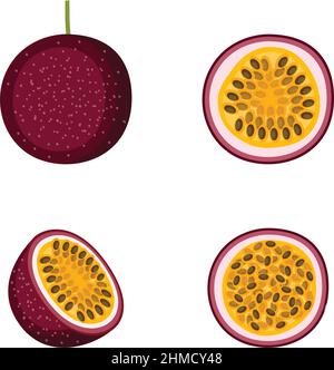 Passion fruit, whole fruit and halves, on white background, vector illustration Stock Vector