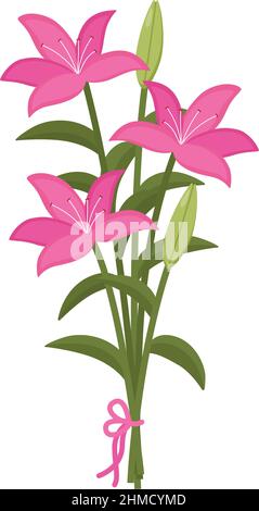 floral blooming lilies vector illustration hand drawn vector ...
