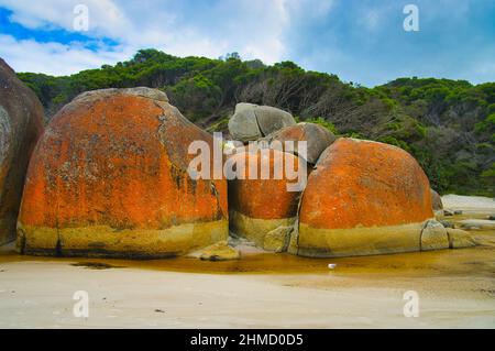 Giant granite boulders, covered in bright orange lichen, at Squeaky Beach, on the coast of  Wilsons Promontory National Park, Victoria, Australia Stock Photo