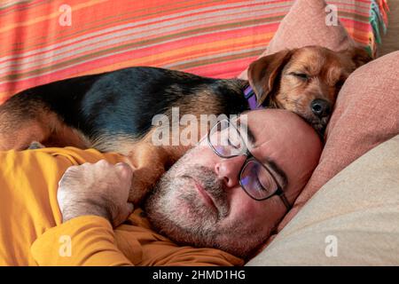 Man sleeping peacefully on the couch with his dog resting on his head Stock Photo