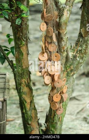 Hanging fishing nets on trees Stock Photo