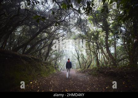 Rear view of man on footpath in laurel forest. Anaga national park in mysterious fog. Tenerife, Spain. Stock Photo