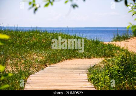Payment Management Wooden path over the sand of the beach dunes. Stock Photo
