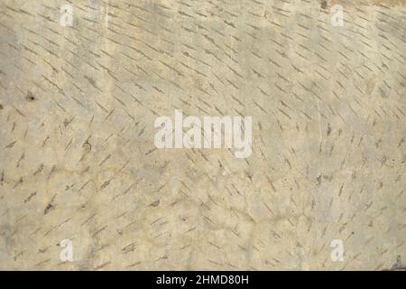 Texture of concrete. Cleared wall. Traces of impacts with tool. Scraped surface. Stock Photo