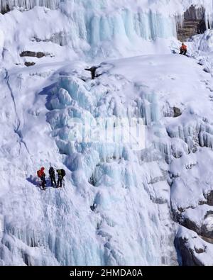 Ice climbers on the Lower Weeping Wall along the Icefields Parkway, Banff National Park, Canadian Rockies, Alberta, Canada Stock Photo