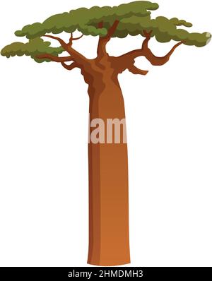 Realistic green tallest tree in the world sequoia on a white background - Vector illustration Stock Vector