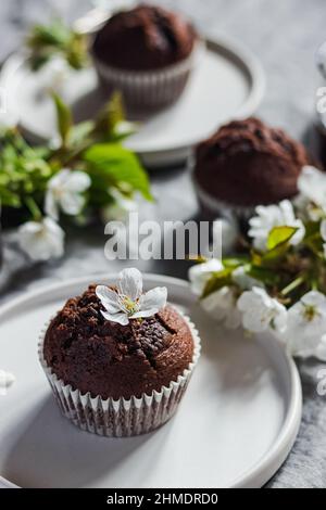 Delicious Mothers day eaaster spring gluten free dairy free chocolate cupcakes with spring flowers and sunny licht. Spring brunch ideas. Sunday tee ti Stock Photo