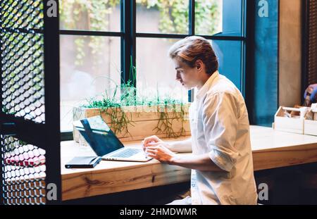 Focused freelancer working on laptop in cafe in daytime Stock Photo