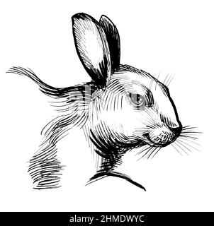 Cute rabbit head. ink black and white drawing Stock Photo