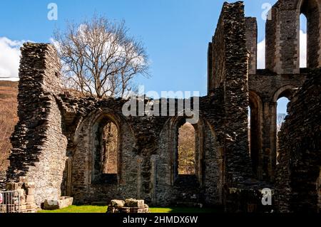 The remains of two chapels and the eastern windows in the church of 13th century Valle Crucis Abbey ruins, founded in 1201 by Madog ap Gruffydd Maelor Stock Photo