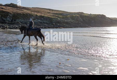 Woman in Silhouette or backlit riding horse through surf Stock Photo