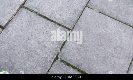 Grey textured paving with weeds growing in between the gaps Stock Photo