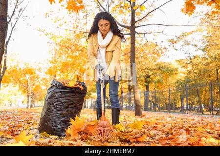 Woman gathering autumn leaves outdoors Stock Photo