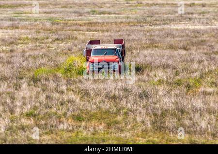 Abandoned Chevrolet truck on grassland in North Dakota, USA. Stock Photo