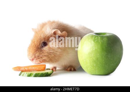 Curated visual reference: Guinea Pig Cucumber Slice Snacks Reference: Can Guinea Pigs Eat Cucumber Discover The Surprising Facts Now