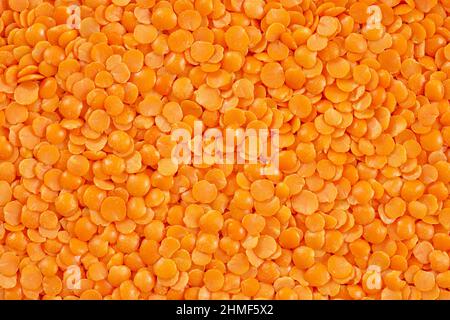 Closeup of red split lentil also known as Egyptian lentil or Masoor dal Stock Photo