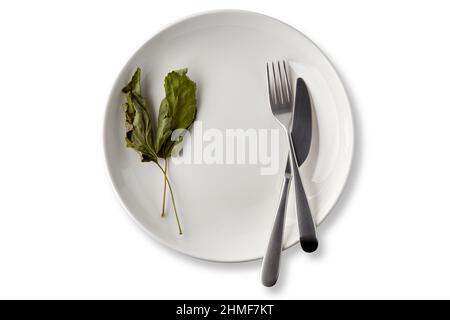 White ceramic plate dish decorated with dried currant leaves Stock Photo