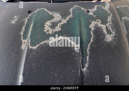 Paint damage due to sun on bonnet, sun exposure on car sheet metal, sunburn on paintwork, detailed view, scrap car, scrap yard, metal recycling Stock Photo