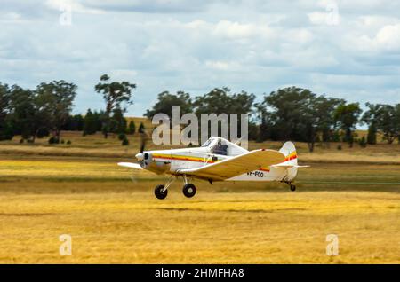 A Modified Piper PA-25-235/A1  Pawnee Glider Tow Plane taking off at Lake Keepit Soaring Club Gunnedah Australia. Stock Photo
