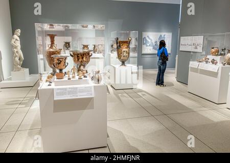 Tampa Florida,Waterfront Arts District,Museum of Art interior inside,artwork classical Greek terracotta ceramic pottery