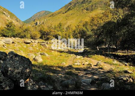 Path along the rocky slopes of a high mountain in the shade of apple trees. Altai, Siberia, Russia. Stock Photo