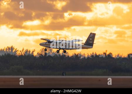 The Army Golden Knights jump aircraft, the UV-18 Viking Twin Otter, flies during training in Homestead, Florida on 7 Feb. 2022. USAPT is conducting their annual certification cycle for the upcoming show season. (U.S. Army photo by Megan Hackett) Stock Photo