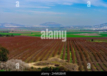 View of the landscape of Jezreel valley countryside, and Mount Tabor, viewed from Megiddo, Northern Israel Stock Photo