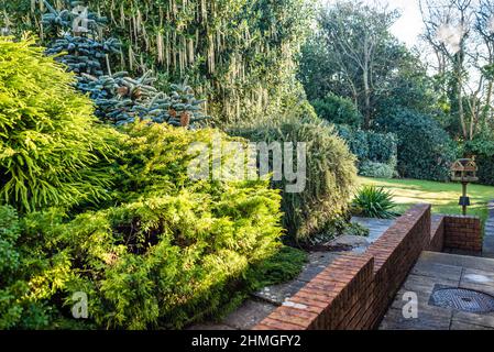 Early morning Winter Sunshine in a Devon Country Garden. Stock Photo