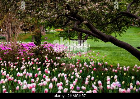 Sherwood Gardens in Baltimore City, Maryland. Stock Photo