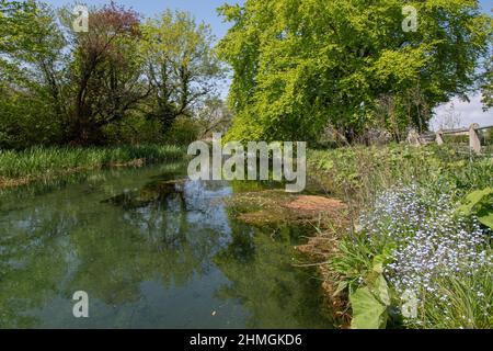 The river Hull (West Beck) near Bell Mills Garden Centre in Driffield, East Yorkshire. Stock Photo