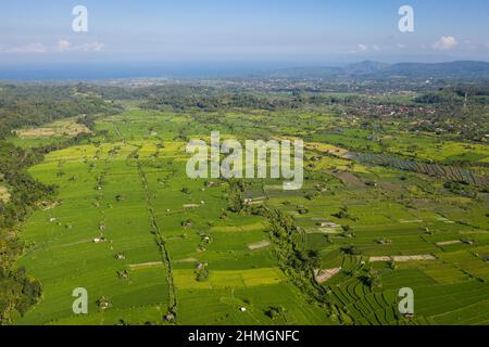 Aerial drone view of terraced rice paddies in the countryside near Amalapura in the Karangasem regency in northeast Bali in Indonesia Stock Photo