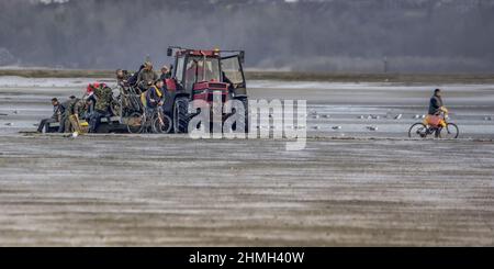 Tracteurs et remorques pêche à pied en baie de Somme Stock Photo