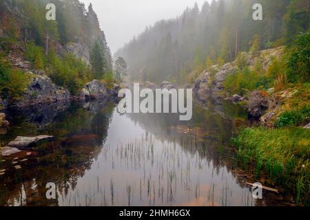 trees and rocks in lake reflected with fog Stock Photo
