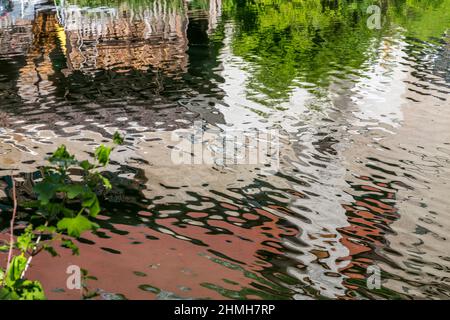 Mirroring, Altmuehl, mirroring, Markt Essing, Altmuehltal, Bavaria, Germany, Europe Stock Photo