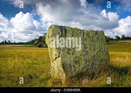 Europe, Sweden, Central Sweden, Västergötland Province, Falköping, Ekornavallen burial ground from the Neolithic, Bronze and Iron Ages, building stone Stock Photo